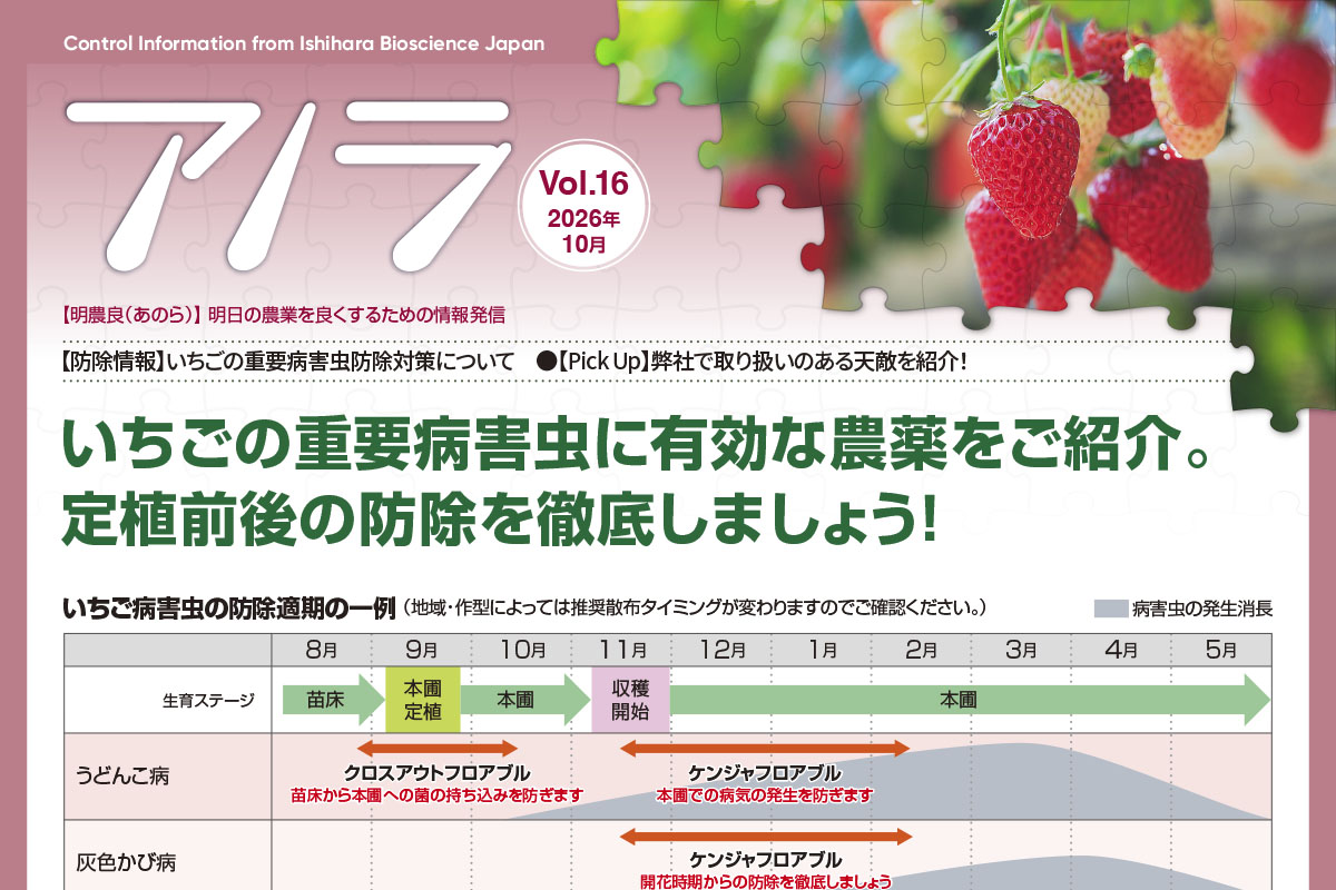【防除情報】いちごの重要病害虫防除対策について　【Pick Up】弊社で取り扱いのある天敵を紹介！